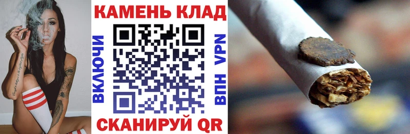 ГАШ Premium Завитинск