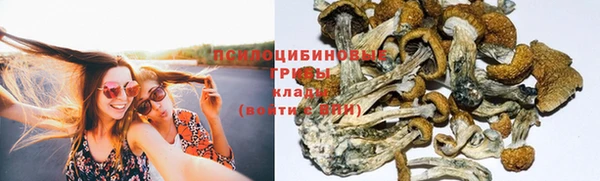 марки nbome Дрезна