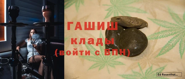 ешки Дубна
