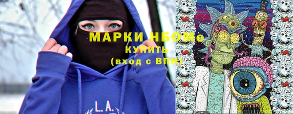 ешки Дубна