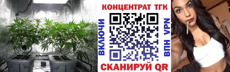 продажа наркотиков  Завитинск  ТГК вейп с тгк 