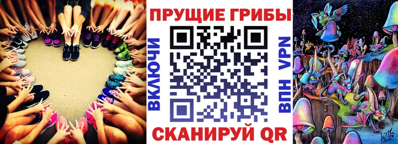 закладки  Завитинск  kraken вход  Псилоцибиновые грибы мицелий 